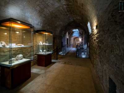 Ma � arrivato ora il momento di andare a visitare le zone del Castello �inedite�, non aperte al pubblico. La prima � la Galleria di levante...